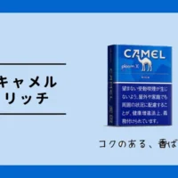 【Camel Rich濃原味】ploom菸彈 台灣加熱菸現貨 駱駝香煙 整條煙(10包)