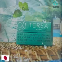 【濃薄荷】日本版 TEREA煙彈 IQOS ILUMA專用 IQOS煙彈 整條煙(10包)