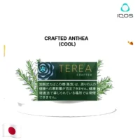 【迷迭香限定新口味】日本版TEREA CRAFTED ANTHEA繁花調 ILUMA專用 整條煙(10包)