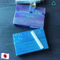 【特濃原味】日本版 TEREA煙彈 IQOS ILUMA專用 IQOS煙彈 純正濃郁 整條煙(10包)