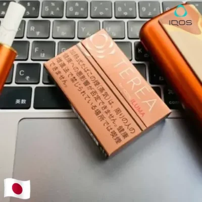 【雪松原味】日本版 TEREA煙彈 IQOS ILUMA專用 IQOS煙彈 純正濃郁 整條煙(10包)