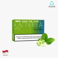 青檸2-1.webp 【青檸】亞洲版Indonesia印尼IQOS煙彈 IQOS ILUMA專用 整條10包 三天到貨